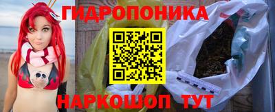 apvp Лесосибирск