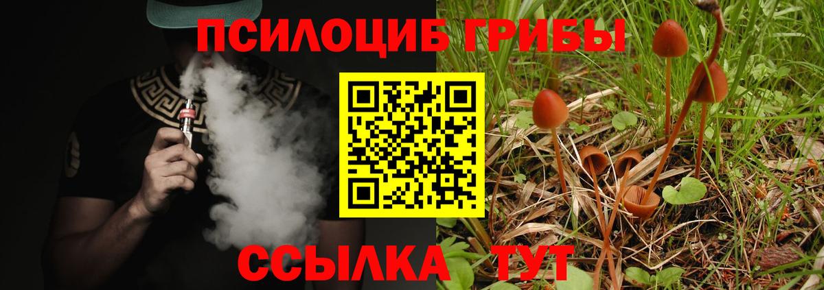 Галлюциногенные грибы прущие грибы Верхний Уфалей